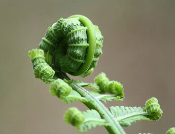 A wealth of health on is the New