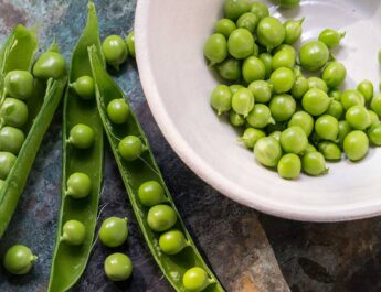 Synthetic versus natural debate fuelled by fake dichotomy