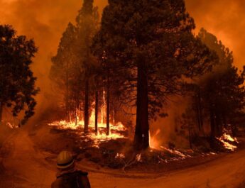 Combatir el cambio climático salva vidas