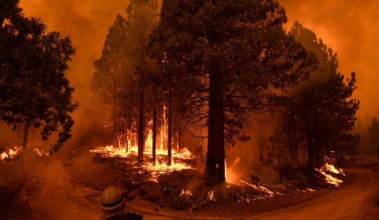 Combatir el cambio climático salva vidas