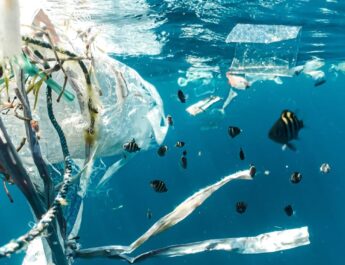 Coca-Cola, Pepsi y Unilever, los mayores contaminadores de plástico en el mundo