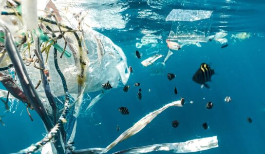 Coca-Cola, Pepsi y Unilever, los mayores contaminadores de plástico en el mundo