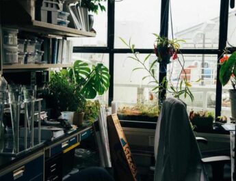 Cultivar hierbas para cocinar en casa