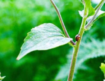 Ahorrar agua y energía salva el planeta