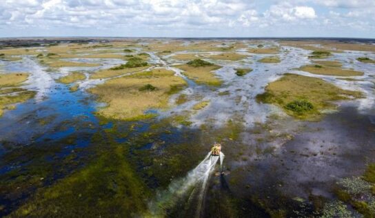 El cambio climático amenaza el futuro de los Everglades, joya natural de Florida