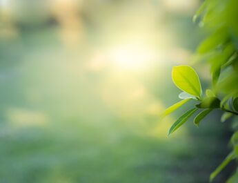 El reconocimiento del derecho humano a un medio ambiente sano da esperanza para el futuro: experto