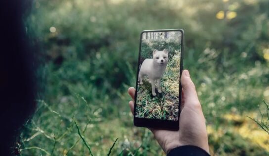 Google presenta nuevos animales en 3D y todos son especies suecas en peligro de extinción