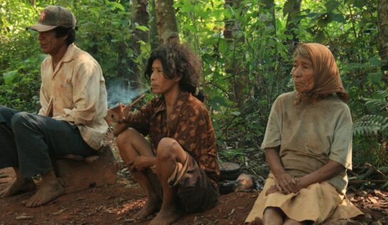 Paraguay violó el derecho de los pueblos indígenas al no prevenir la contaminación ambiental de sus tierras