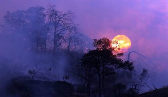 El cambio climático no acabará con el mundo, pero desearemos que así fuera