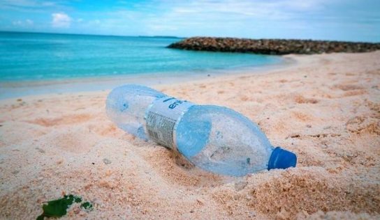 Tras la pandemia, el 80% de desechos plásticos terminarán en el ártico en 2025