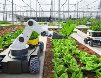 México será beneficiario de iniciativa agrícola suscrita en la COP26