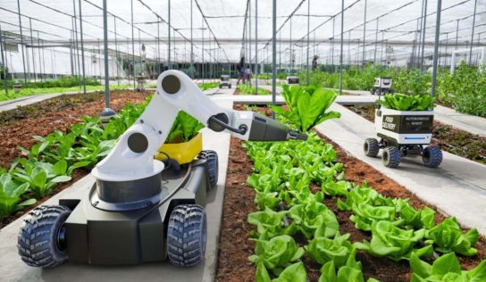México será beneficiario de iniciativa agrícola suscrita en la COP26