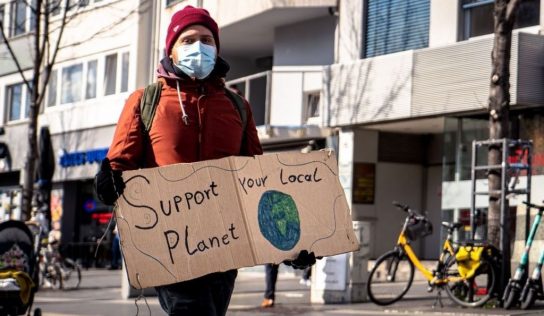 Día mundial de la ecología