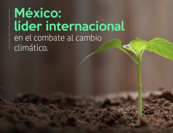 Publica Semarnat el Programa Especial de Cambio Climático 2021-2024