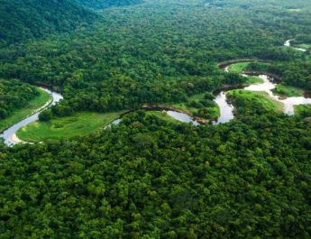 Medio ambiente: qué son las reservas de la biósfera, claves en la lucha contra el cambio climático en América Latina