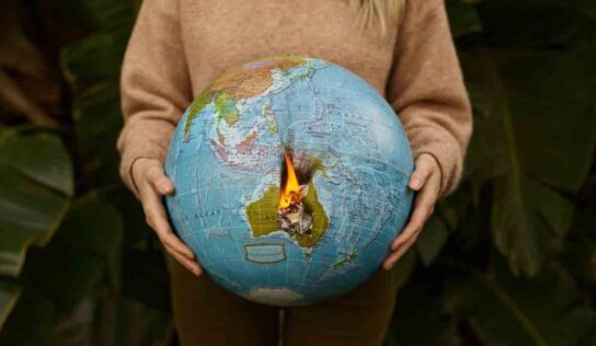 Un centenar de países se comprometen a salvar los bosques en 2030