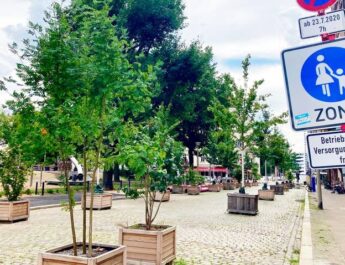 Calles verdes: ciudadanos contra el cambio climático
