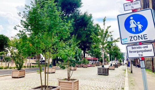 Calles verdes: ciudadanos contra el cambio climático
