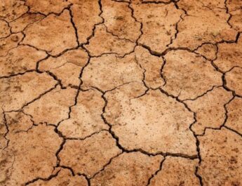 La contaminación del suelo tiene graves consecuencias
