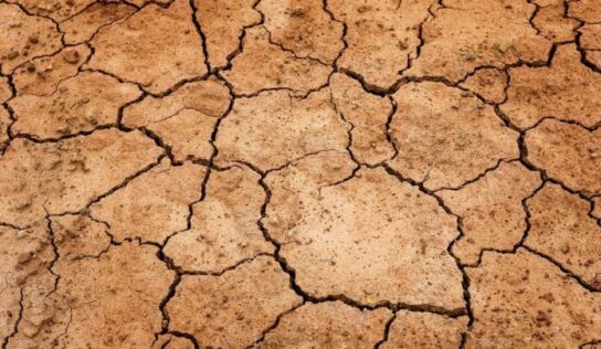 La contaminación del suelo tiene graves consecuencias