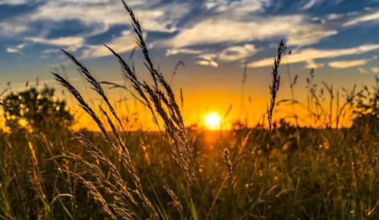 Propuestas para un Pacto Verde rural