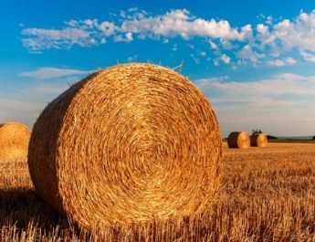 Política agraria a favor del desarrollo sostenible
