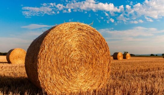 Política agraria a favor del desarrollo sostenible