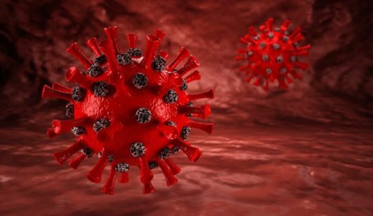 ¿Cuánto tiempo dura el coronavirus en diversas superficies?