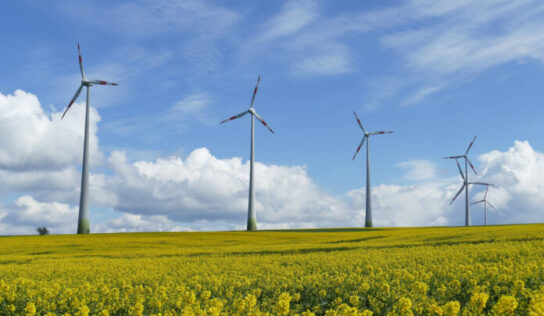 La energía eólica cubrió un 22% de la demanda en 2020 y será la primera energía del mix español en 2021