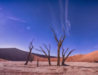 Cambio climático: aumenta la tendencia a la sequía