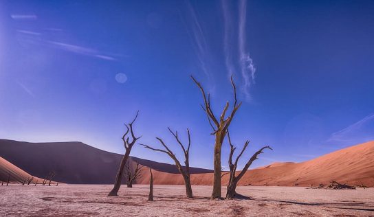 Cambio climático: aumenta la tendencia a la sequía