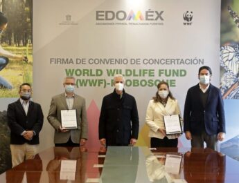 Estado de México renueva convenio con el Fondo Mundial para la Naturaleza