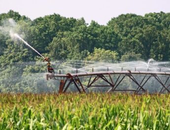 Eficiencia energética en explotaciones agropecuarias