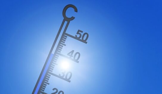 Cambio climático, el mayor desafío de los próximos 20 años