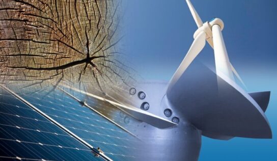 Objetivos de renovables y eficiencia energética en 2020