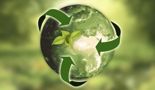 La economía circular es el futuro
