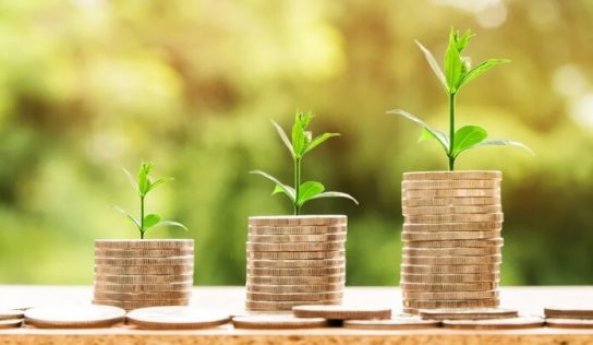 ¿Son realmente verdes los productos financieros?