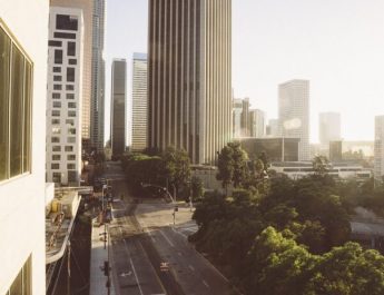 Los árboles controlan la temperatura en las ciudades