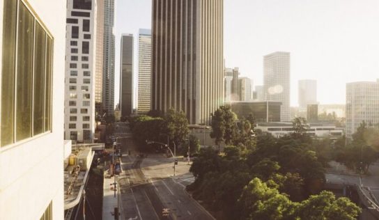 Los árboles controlan la temperatura en las ciudades