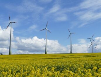 Un año de hitos importantes para la energía eólica