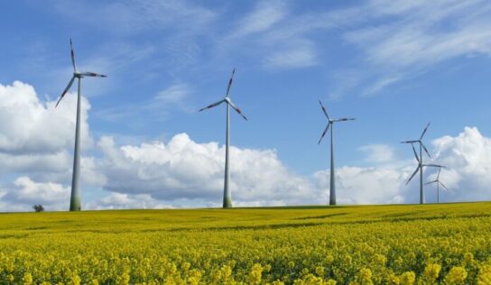 Un año de hitos importantes para la energía eólica