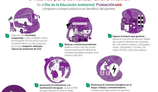 Conoce las 5 acciones que te convierten en un ciudadano responsable con el medio ambiente