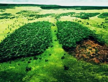 Día Mundial de la Educación Ambiental: origen y motivo de su celebración hoy, 26 de enero