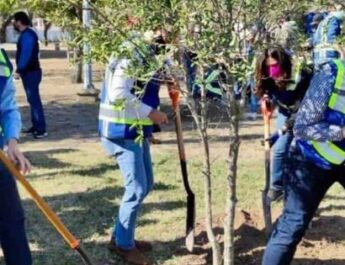 Lleva GLPAN programa de reforestación a Guadalupe