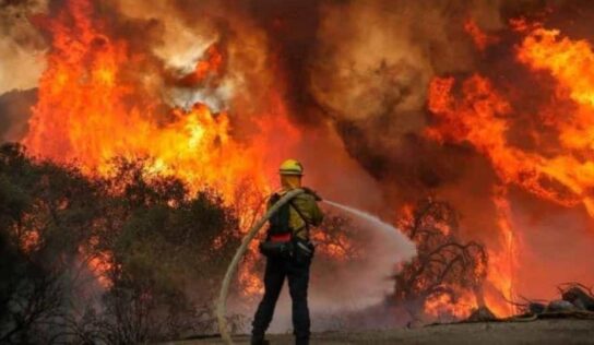 Prohíben realizar fogatas en zonas forestales de Nuevo León