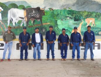 RESULTADOS DE CONSERVACIÓN: PROTECCIÓN DE LOROS EN MÉXICO