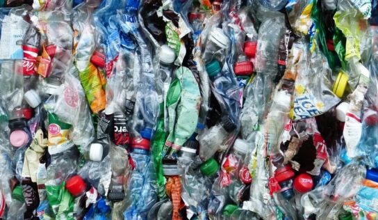 El plástico reciclado representa el 17% de las nuevas botellas