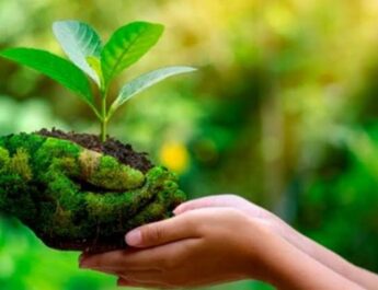 Promoverán entre empresas evaluación socio-ambiental