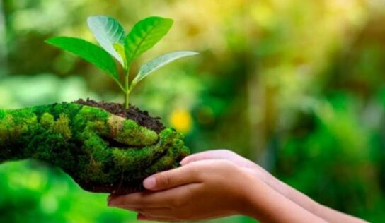 Promoverán entre empresas evaluación socio-ambiental