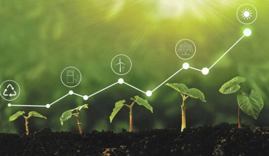 La arquitectura sustentable y su camino hacia la tendencia wellness
